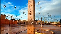 Marrakech EN Private 4h: Driver Polyglot & Entrance Included