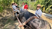 Pu Luong 3-Day Experiences: Cooking Class,Cycling & Buffalo Cart 