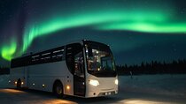 Northern Lights Bus: Cozy Night Adventure with Hot Chocolate