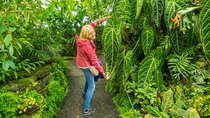Royal Botanic Garden Edinburgh Private Guided Tour