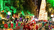 Christmas Tour in Medellin with Guide and Festive Animation