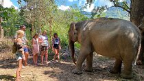 Jurassic World Krabi Elephant Watching and Huay To Waterfall