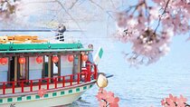 Tokyo Limited-Date Cherry Blossom Route Cruise & Show & Meal