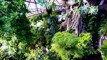 Green Planet Dubai – The Indoor Rainforest & Wildlife Dome