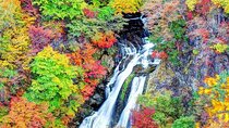 Nikko: Shrine, Waterfall and Autumn Leaves by Car (Private Tour)