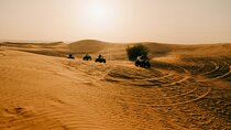 Doha Desert Safari Dune Bashing Camel Riding and Sandboarding