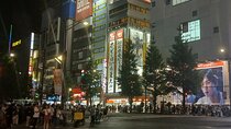 Tokyo Downtown Akihabara Tour And Dinner Party Adults Only
