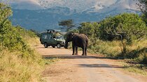 3 Day luxury Murchison Falls and Ziwa Rhino Safari 