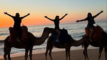 Tangier Sunset Camel ride on Achakkar Beach