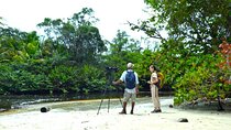 Cahuita National Park Guided Hike by Native Naturalistic Guide
