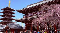 Tokyo Private Half-Day Tour by Car with Local Guide