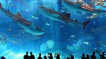 Hurghada Grand Aquarium and Zoo with Hotel Transfers