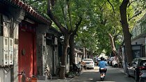 Beijing Walk Tour: HuTong Quadrangle Dwellings Mysteries Decoded