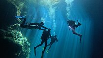 Diving in Cenotes and Caverns of the Mayan Forest