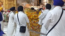 Golden Temple Night Palki Ceremony and Light Tour