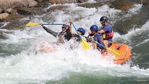 Durango ~ "Three Quarter" Day Raft Trip with Riverside Lunch