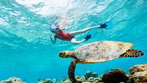 Akumal Snorkeling and Underground River - Private Tour