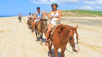 Horseback Riding Adventure y Tequila Tasting in Los Cabos