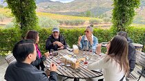Douro Valley Luxury Wine Tour: 3 Estates, Cruise & Gourmet Dining