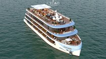 Cycad Cruise - NEW 6 star cruise in Bai Tu Long Bay 2days/1night