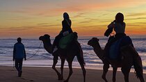 Sunset Camel Ride in Tangier with Cap Spartel & Hercules Caves