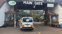 Nairobi National Park Game Drive With free Pick Up