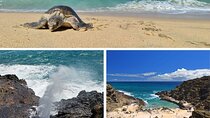 GROUP Tour- All Inclusive Circle Island With Turtle Beach