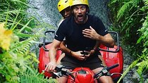 Bali Quad Bike Adventure and Ubud Private Day Tour