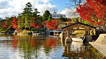 Nagoya Autumn Leaves Private Tour