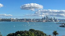 Auckland City Half Day Small Group Tour - Best Spots