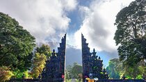 North Bali Private Car Tour