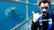 Shark Cage Diving Adventure Cape Town with Lunch and Transport