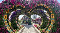 Dubai Miracle Garden Entry Tickets
