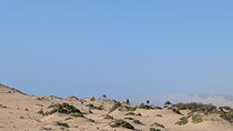 Agadir/Taghazout : Sandboarding & Canyon & Camel riding.