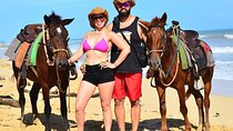 Punta Cana Horseback Ride and Beach Tour