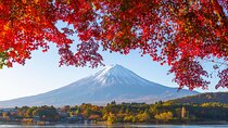 Mt. Fuji Autumn leaves And Heritage Village Trip Tokyo 