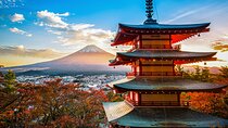 Mount Fuji Kawagoe and Hikawa Shrine Day Trip