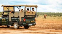  The Tooth and Claw Schotia Game Reserve Private Tour