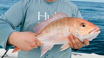 Fishing Charters in Clearwater Beach Florida