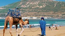 Agadir Camel Ride