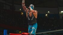 Lucha Libre Night Tour