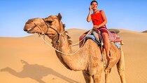 Camel Ride Adventure in Agadir