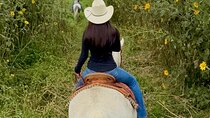 Horseback, Culture & Mexican Flavors Experience