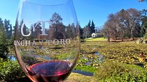 Concha y Toro Winery and Lapis Lazuli with Private Transport