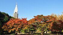 Tokyo Feel the History and Nature in Shinjuku