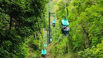 Rainforest Aerial Tram Tour in Jaco, Costa Rica