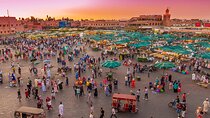 Discover Marrakech: The Red City Day Tour from Agadir