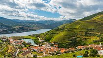 Private Douro Valley Tour: Wine Tasting, River Cruise & Lunch