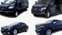 PUNTACANA AIRPORT TRANSFERS tO HOTELS -VIP & LUXURY SERVICES