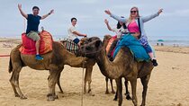 4 Hours Tangier Highlights, Camels and Old Town